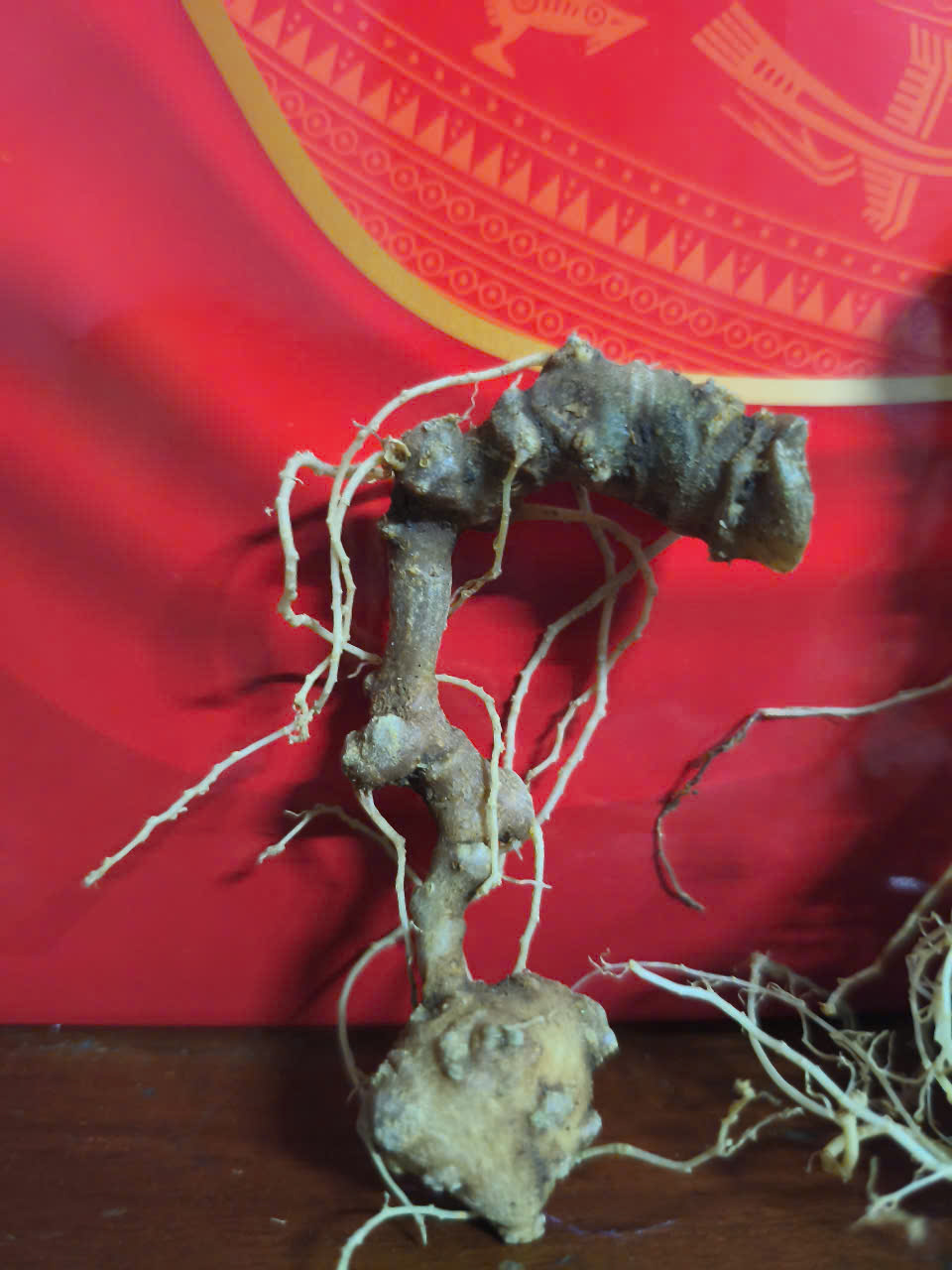 Rượu Sâm Ngọc Linh Thượng Hạng